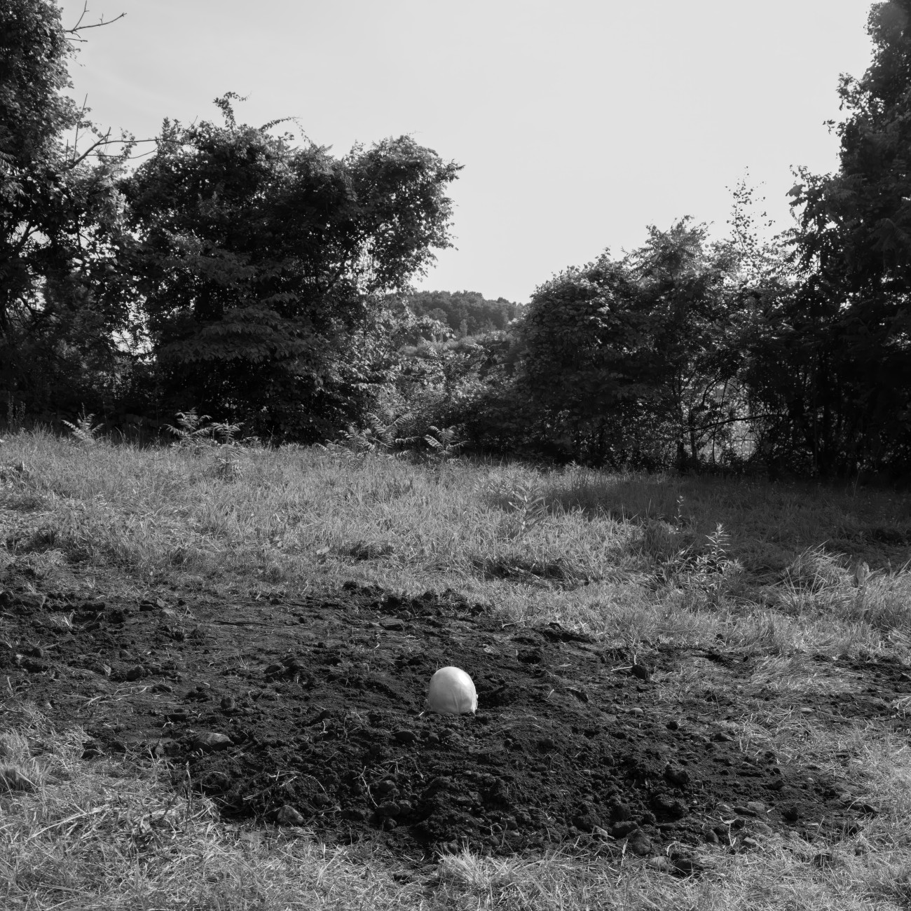Steve Giasson. Performance invisible n&deg; 305 (Faire l'image). Reenactment de Keith Arnatt. Self-Burial (Television Interference Project). 1969.&nbsp;Performeur : Steve Giasson. Cr&eacute;dit photographique : Martin Vinette. Assistance : F&eacute;lix Hould,&nbsp;Colin Hould, Dominique Vincent et Francis Brabant. Retouches photographiques : Charles-&Eacute;tienne Lebrun. 19 juillet 2025.